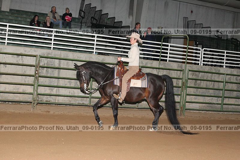 Proof Number utah_09-0195