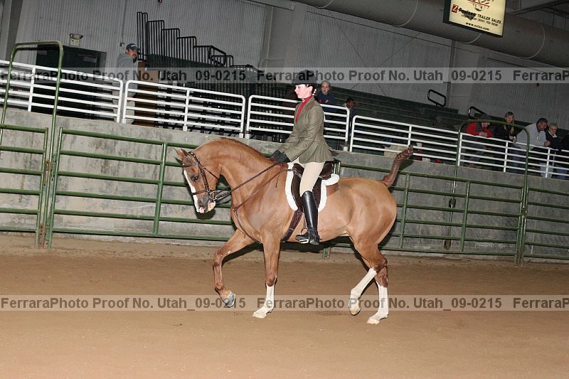Proof Number utah_09-0215