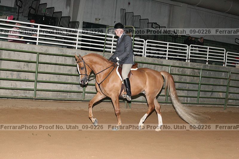 Proof Number utah_09-0226