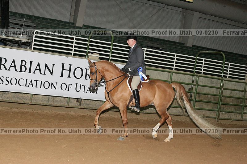 Proof Number utah_09-0230