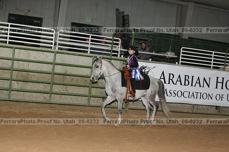 Proof Number utah_09-0232