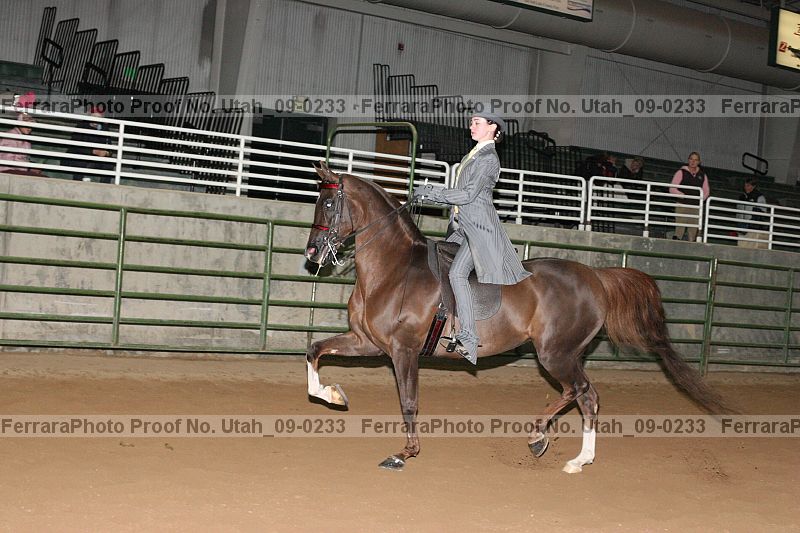 Proof Number utah_09-0233