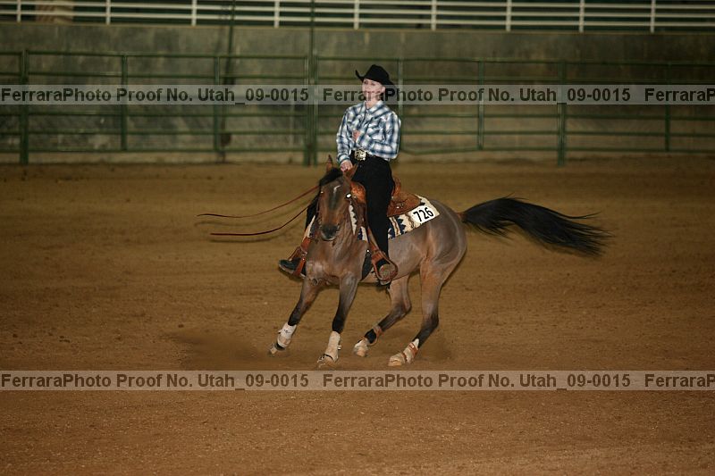 Proof Number utah_09-0015