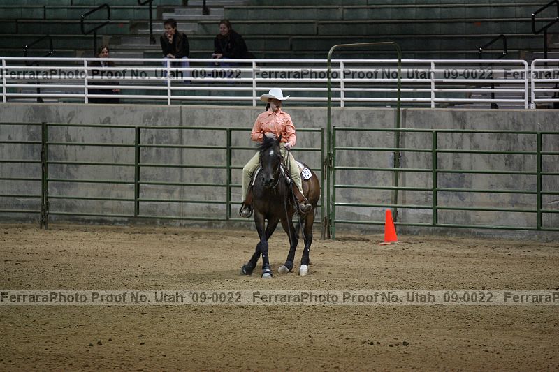 Proof Number utah_09-0022