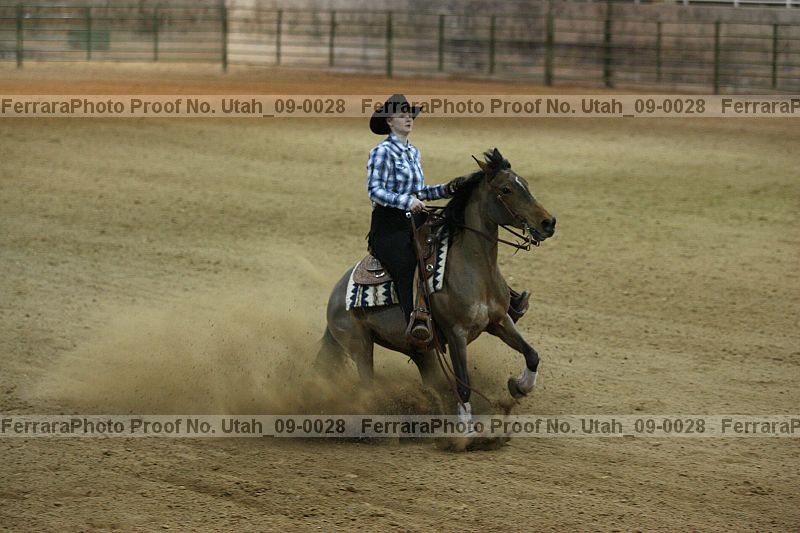 Proof Number utah_09-0028