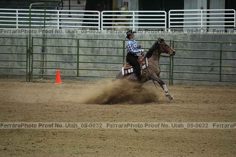 Proof Number utah_09-0032