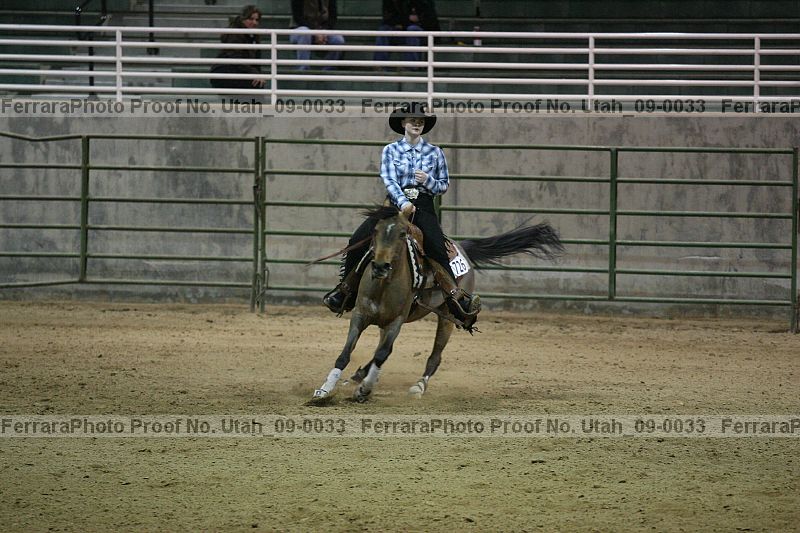 Proof Number utah_09-0033