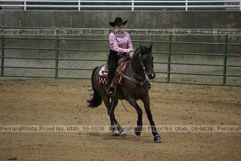Proof Number utah_09-0038
