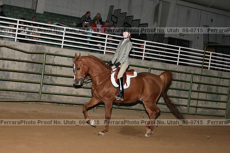 Proof Number utah_09-0715