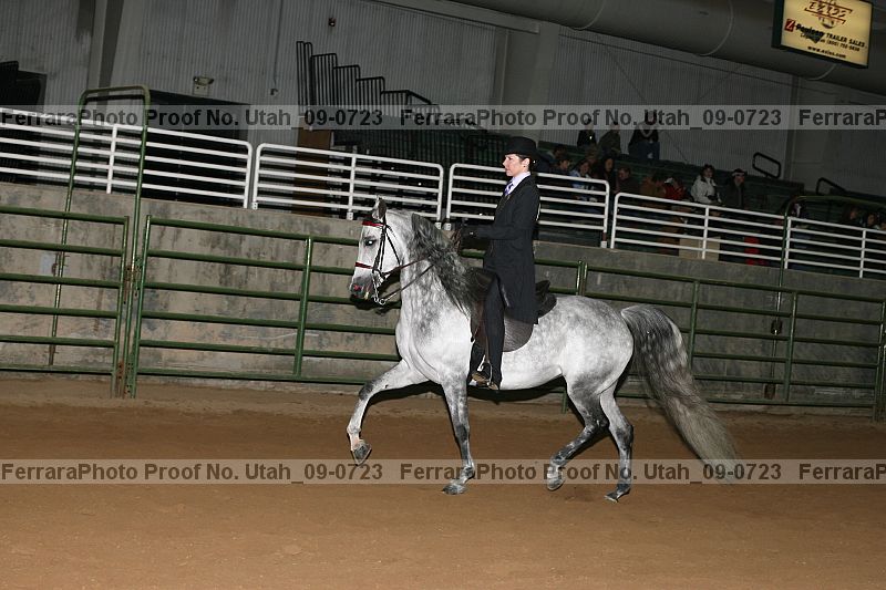 Proof Number utah_09-0723