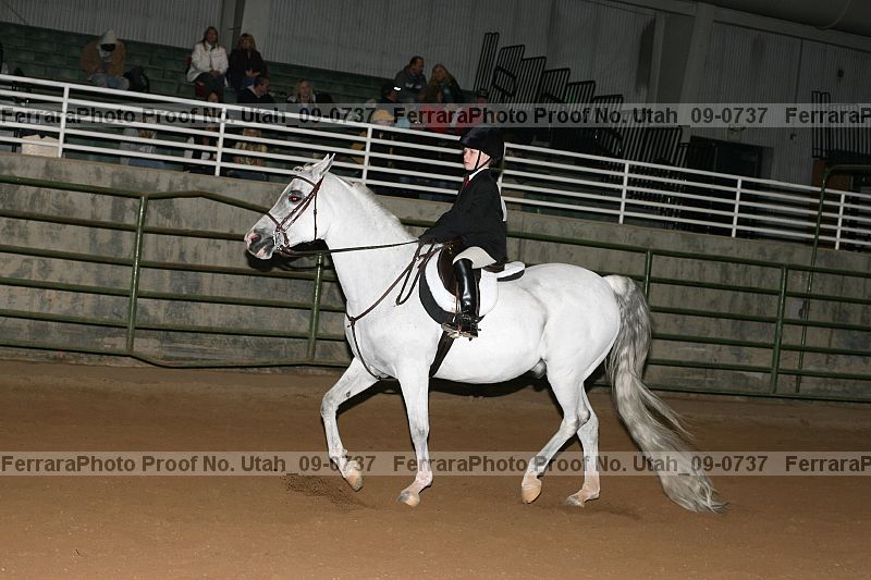 Proof Number utah_09-0737