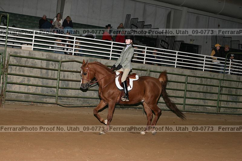 Proof Number utah_09-0773