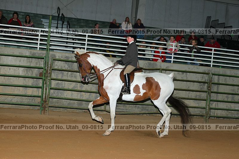 Proof Number utah_09-0815