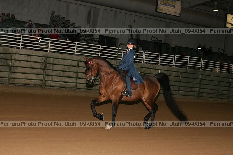 Proof Number utah_09-0854
