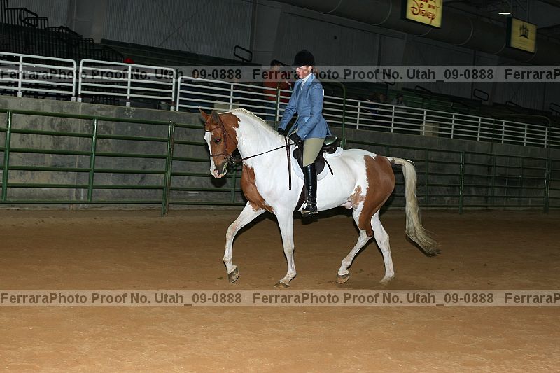Proof Number utah_09-0888