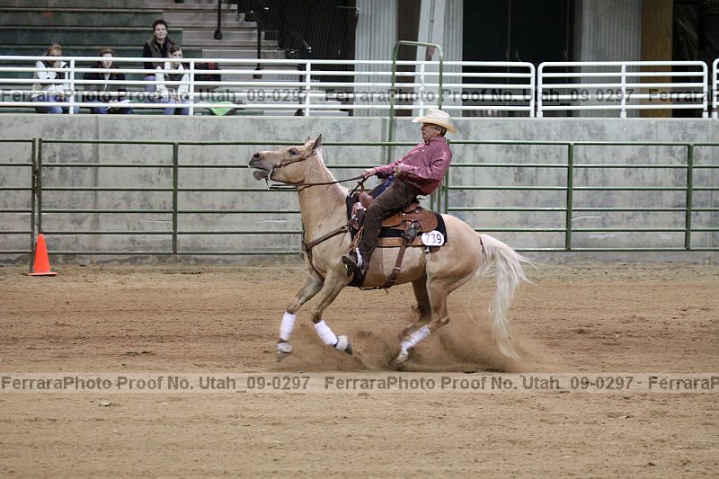 Proof Number utah_09-0297