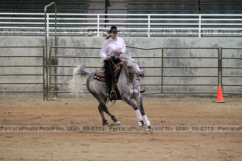 Proof Number utah_09-0312