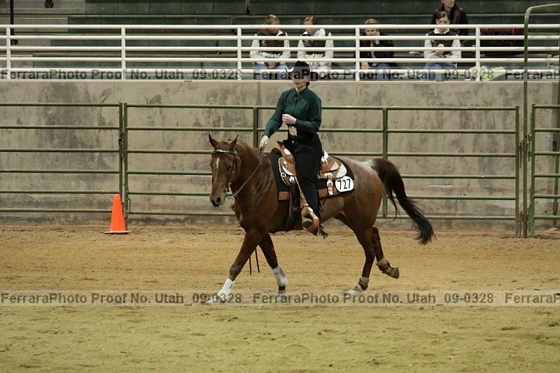 Proof Number utah_09-0328