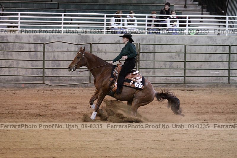 Proof Number utah_09-0335