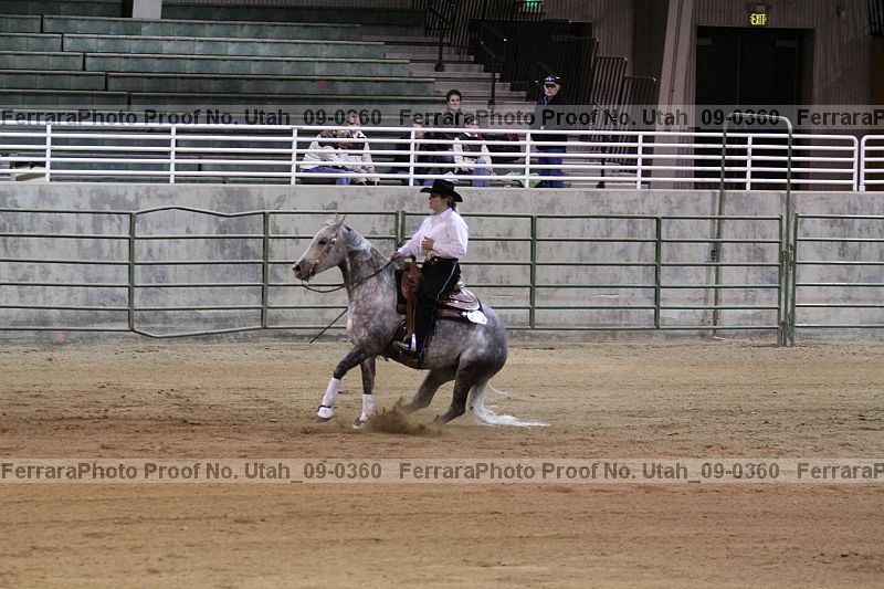 Proof Number utah_09-0360