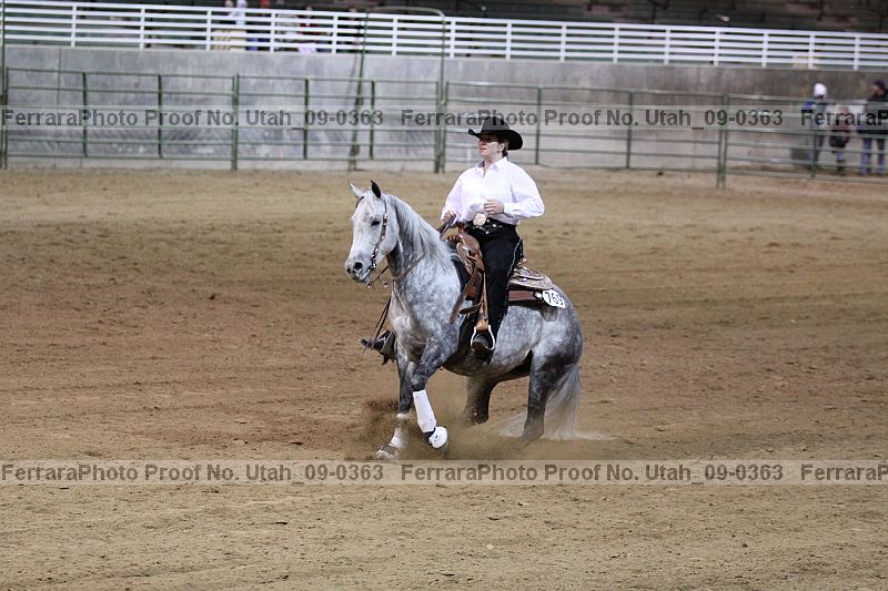 Proof Number utah_09-0363