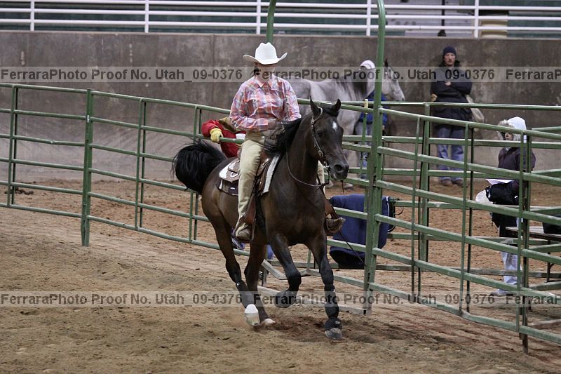 Proof Number utah_09-0376