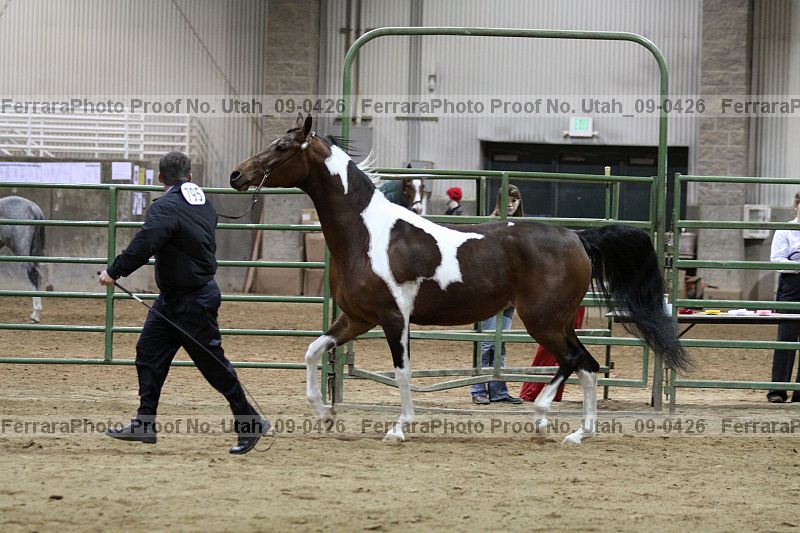 Proof Number utah_09-0426