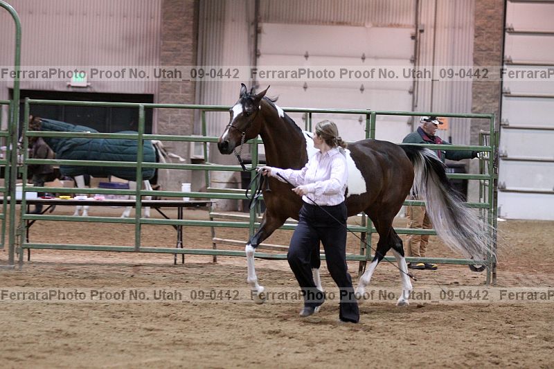 Proof Number utah_09-0442