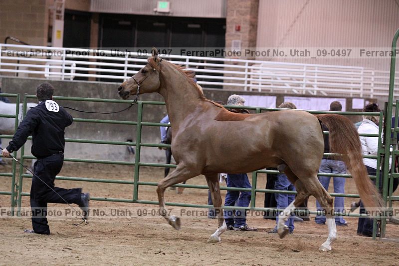 Proof Number utah_09-0497