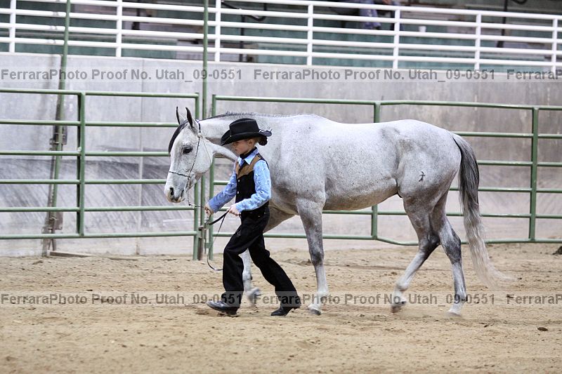 Proof Number utah_09-0551