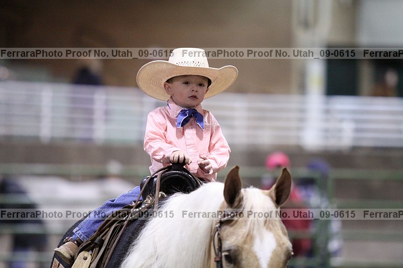 Proof Number utah_09-0615