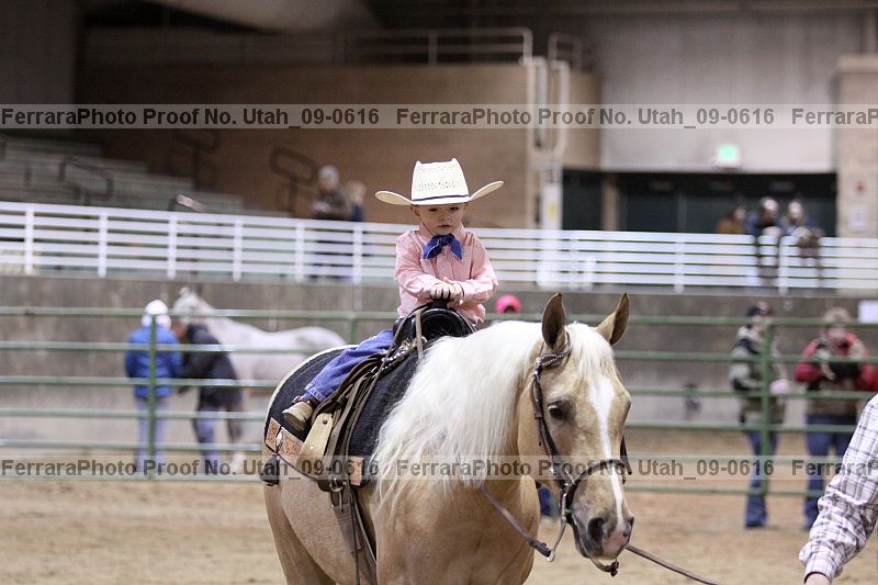 Proof Number utah_09-0616