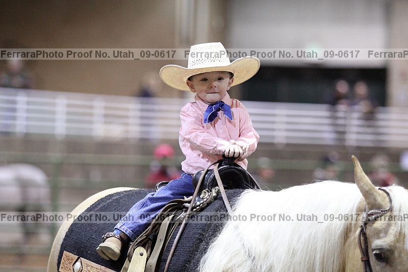 Proof Number utah_09-0617
