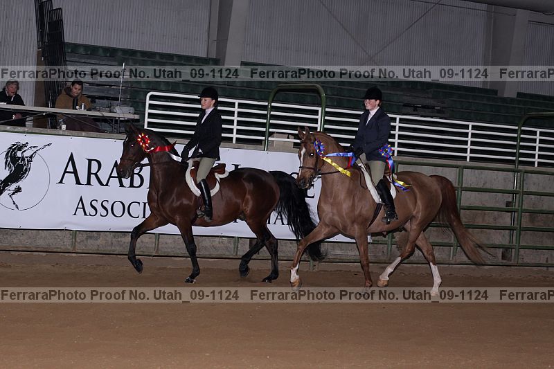 Proof Number utah_09-1124