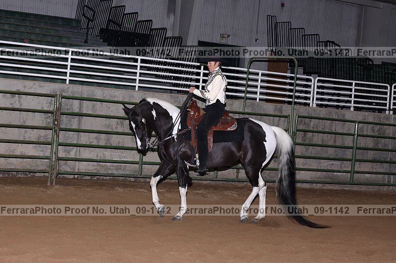 Proof Number utah_09-1142