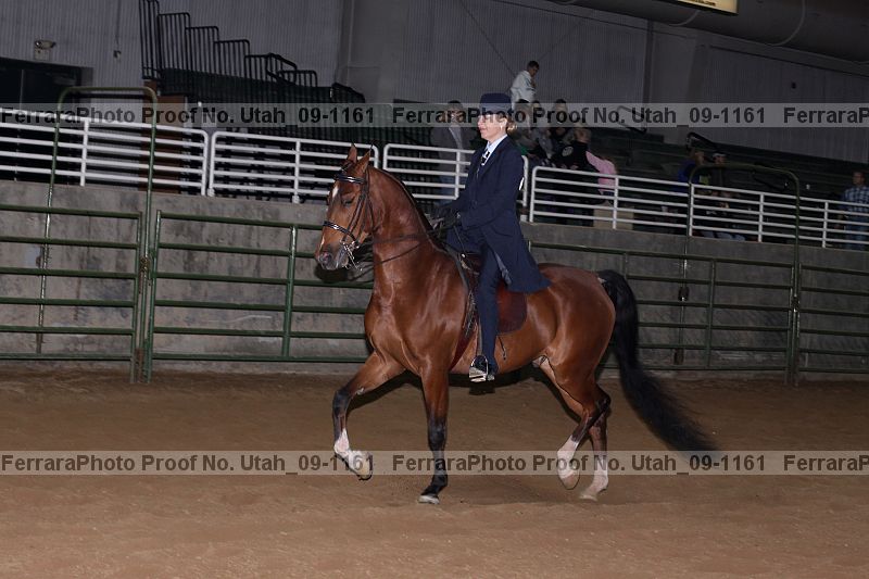 Proof Number utah_09-1161