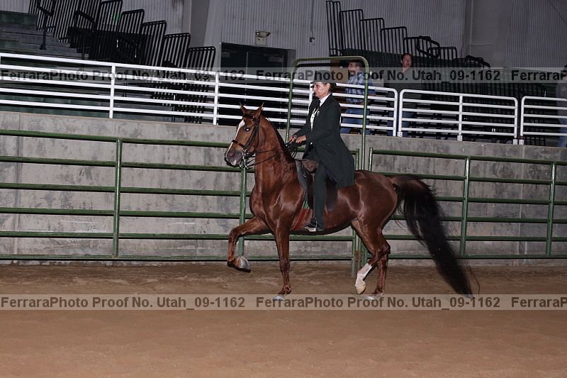 Proof Number utah_09-1162