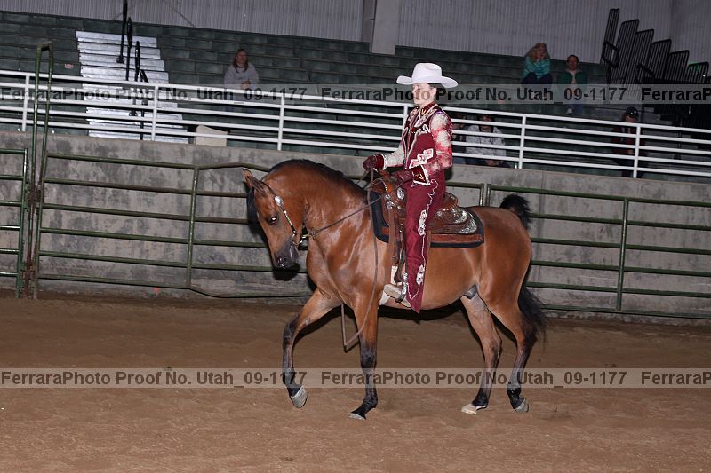 Proof Number utah_09-1177