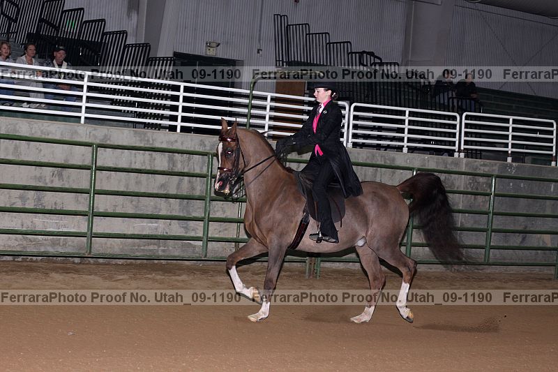 Proof Number utah_09-1190