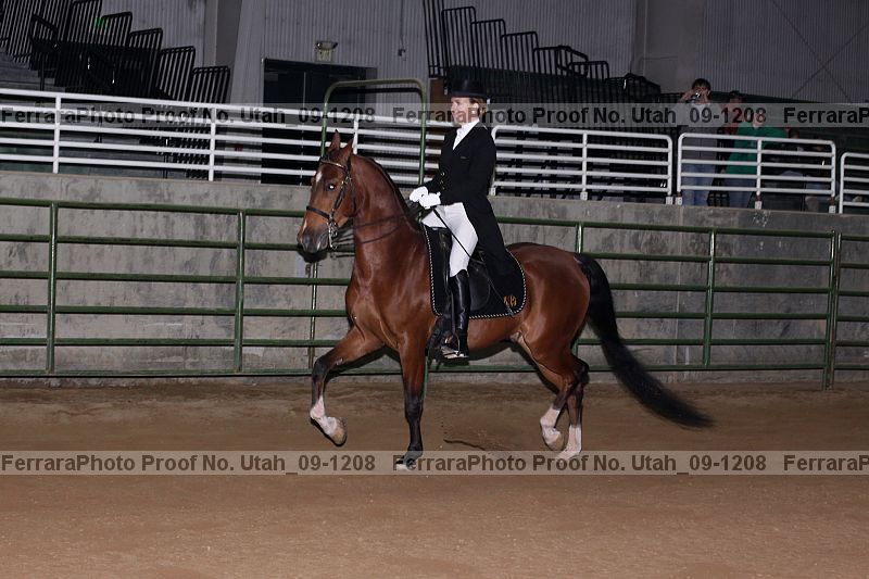 Proof Number utah_09-1208
