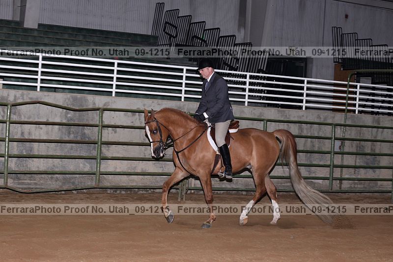 Proof Number utah_09-1215