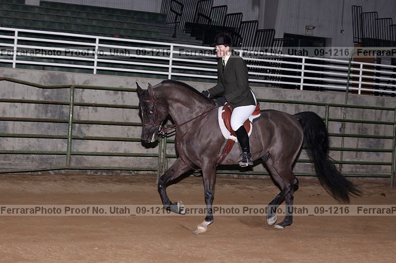 Proof Number utah_09-1216