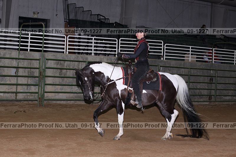 Proof Number utah_09-1227