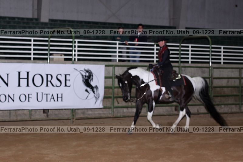 Proof Number utah_09-1228