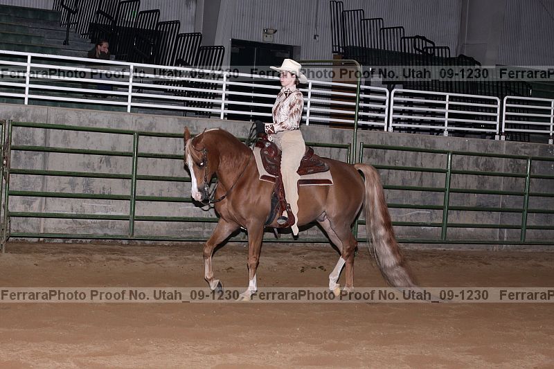 Proof Number utah_09-1230