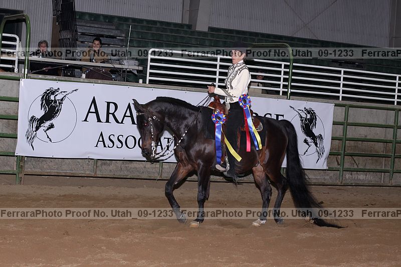 Proof Number utah_09-1233