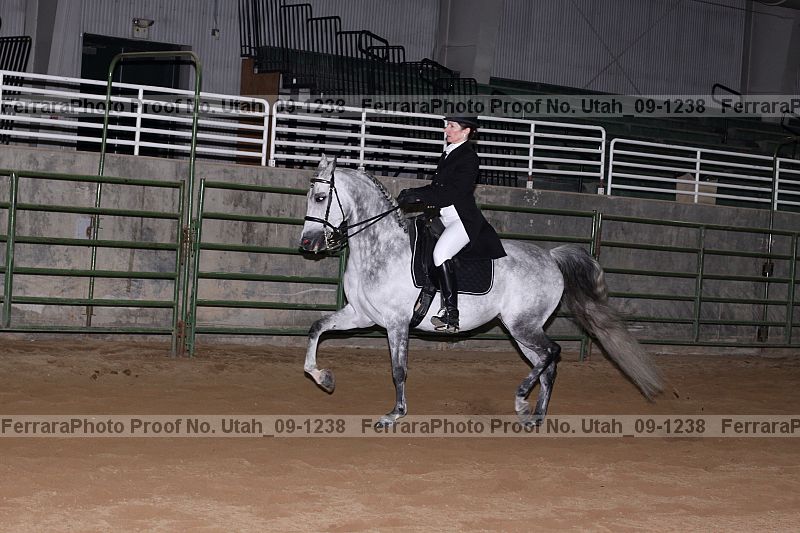 Proof Number utah_09-1238