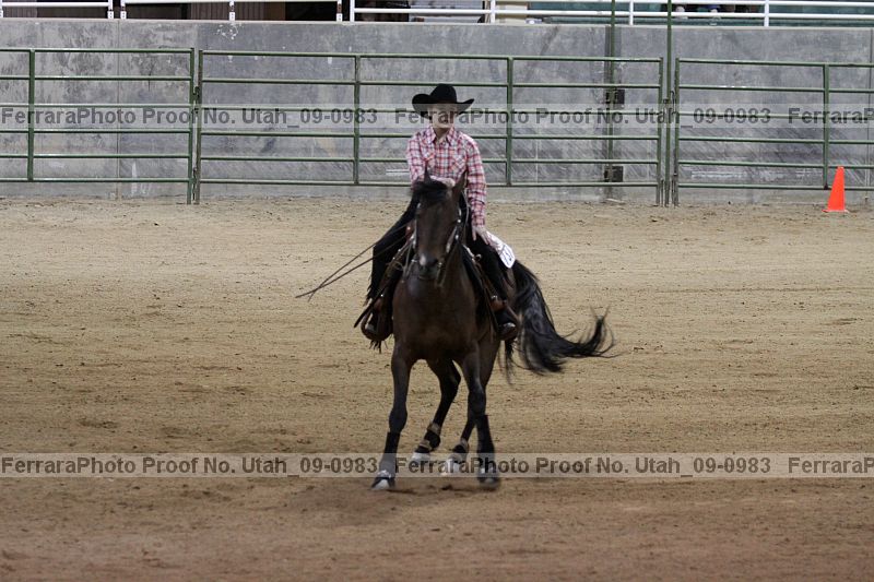 Proof Number utah_09-0983