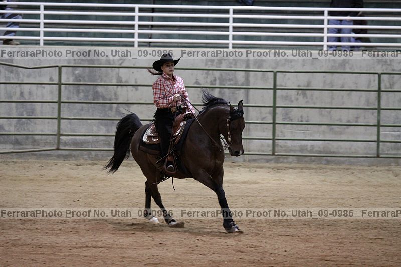 Proof Number utah_09-0986