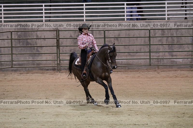 Proof Number utah_09-0987